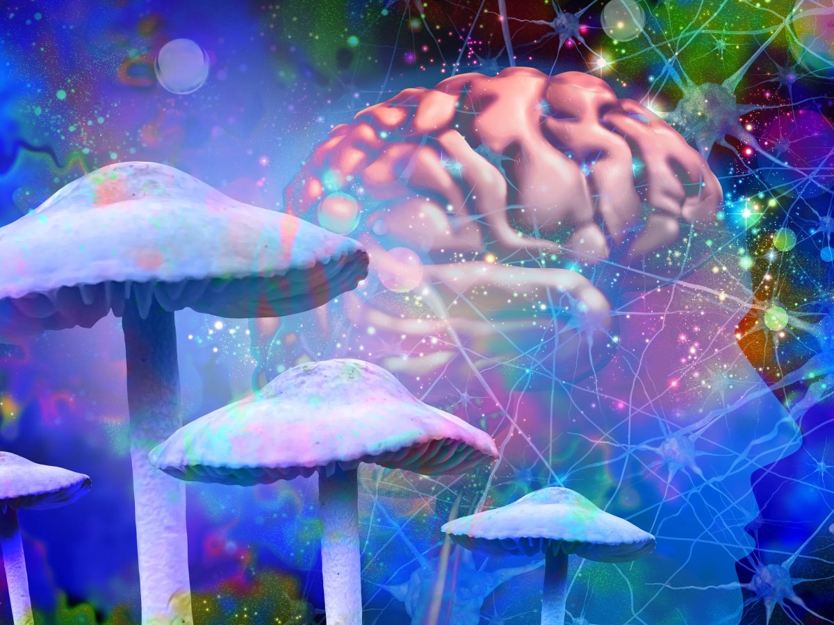 Critique: Psychedelics align brain&nbsp;activity